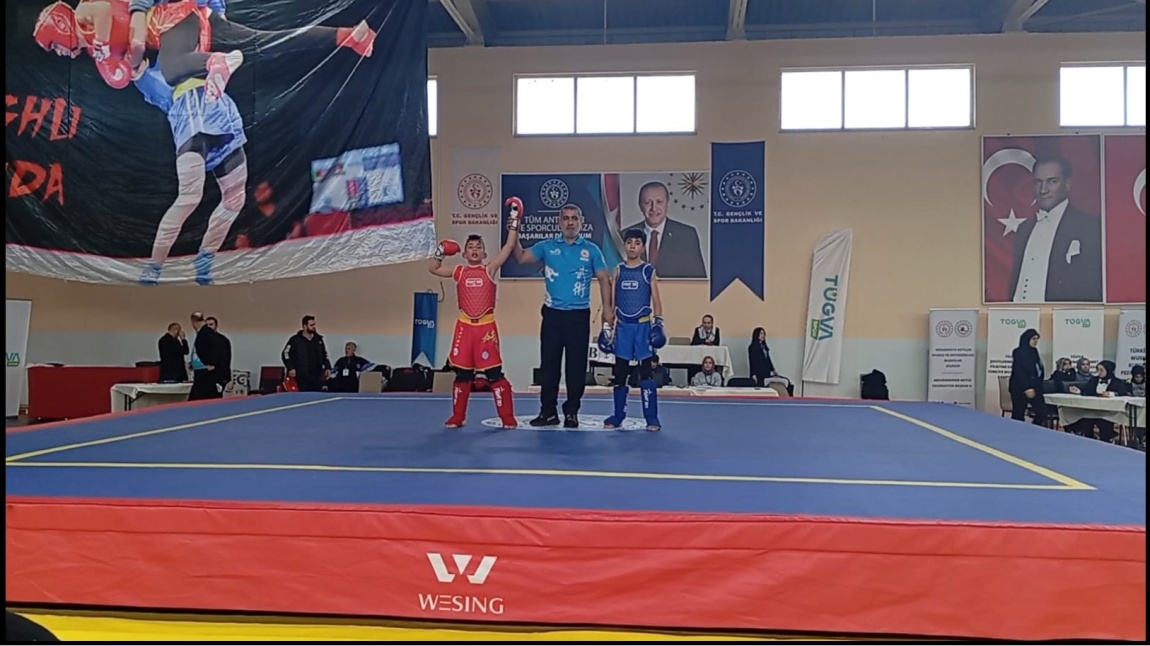 Türkiye Wushu Şampiyonası